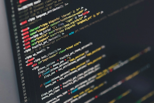 Software & Hardware Security Audit