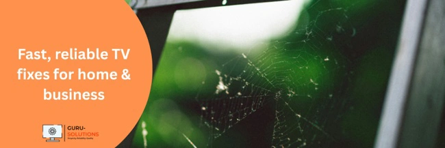 TV Repair