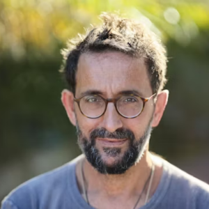 david