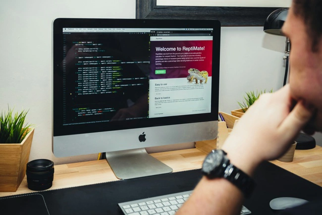 SharePoint Development Implementation