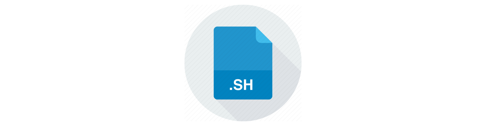 Bash Scripting