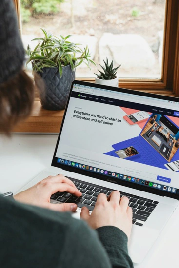 custom e-commerce website