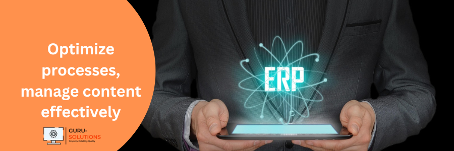 Development for ERP & CMS Solutions