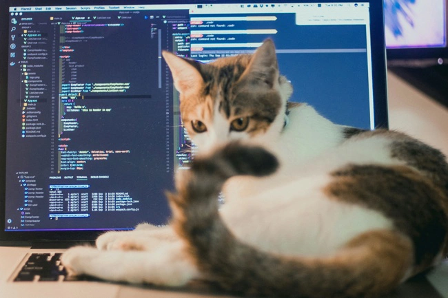 Develop SaaS Products
