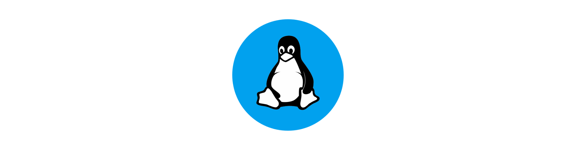 Kali Linux